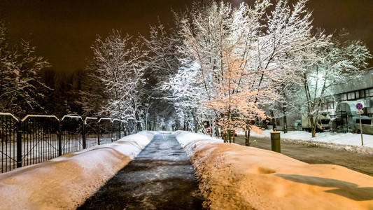 晚上大雪过后树木被雪覆盖图片