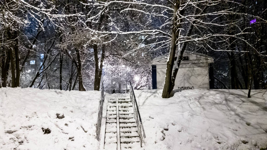 晚上大雪过后树木被雪覆盖图片