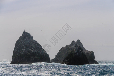 ShagRocks是南乔治亚州最西部的六个无人居住的小岛它们以南乔治亚帝国鸬鹚命名图片