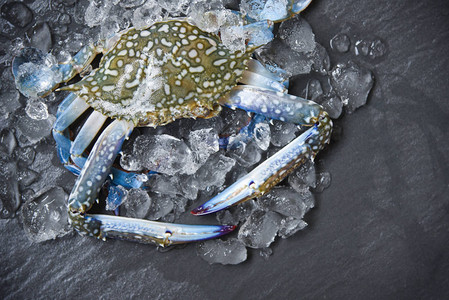 海鲜蟹在冰上新鲜生蓝游泳蟹在餐厅图片