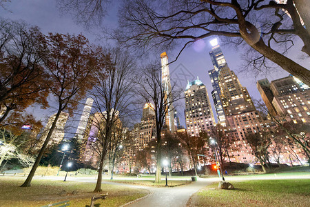 纽约市中央公园的夜景有树图片