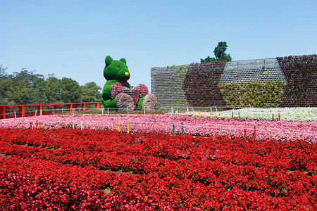 DALATFRESHFARM风景如画的花园和大叻游览的地方越南山城的观光景点带花和熊的背景图片