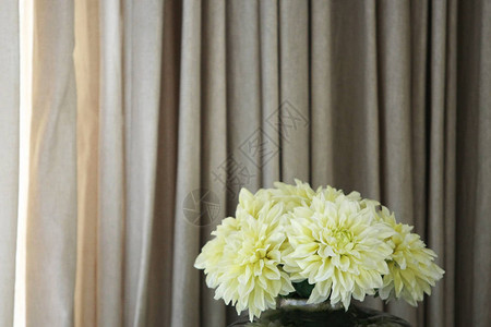 花卉装饰和窗帘背景图片