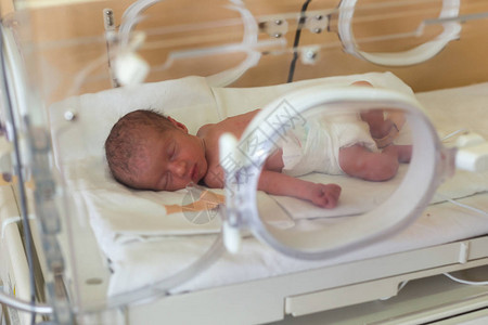 医院孵化器中的早产新生儿婴新生儿图片