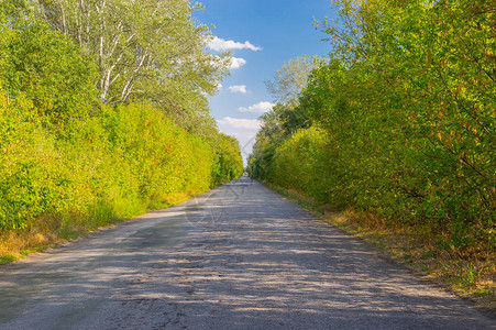 乌克兰中部农村公路图片