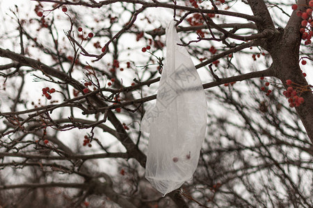 外面树上有塑料袋生态问题的概念背景图片