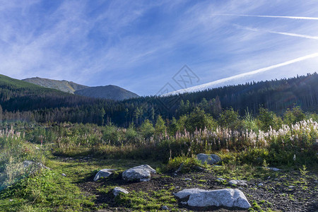 靠近Mengusovska山谷的美丽景色高塔特拉山图片