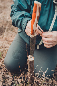 一名妇女用一把刀砍了一棵年轻的树图片