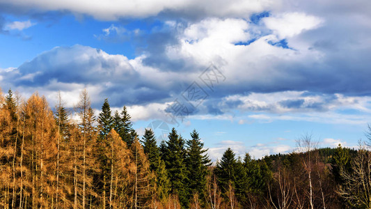 山上秋天的森林风景在阳光明媚的天空中闪耀着光彩照图片