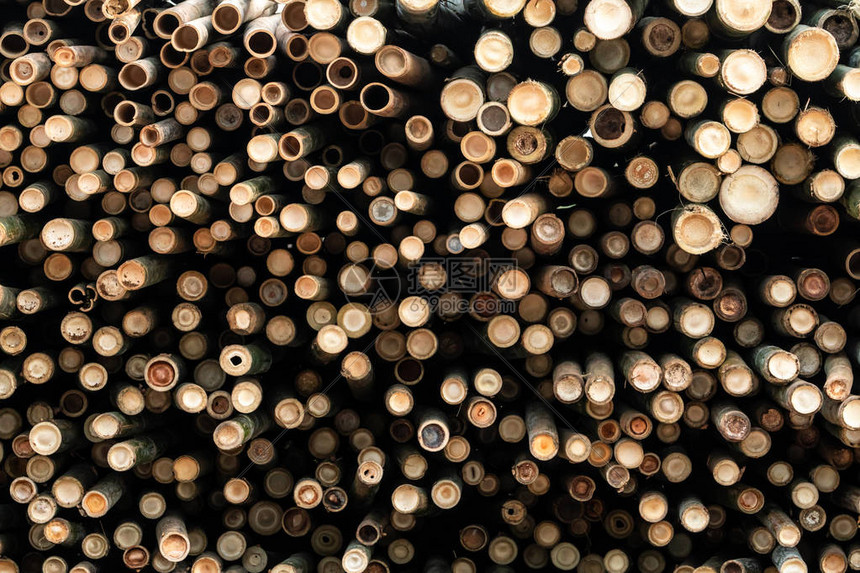 一堆竹竿一堆圆木原用于工业规模或制造的大批量原木家具厂的材料仓库竹图片