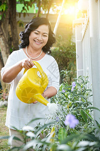 迷人优雅的成熟亚洲女人在她的花园里浇花用水罐子图片