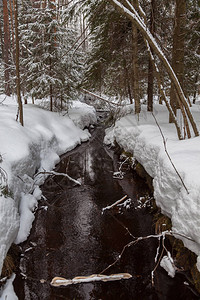 俄罗斯冬季景观在冬季森林中流淌童话般的冬季森林与溪流与森林和小图片