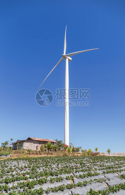 白色风力涡轮机在风力发电站发电图片