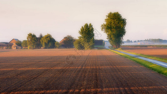 雾蒙的晨光中的农场景观图片