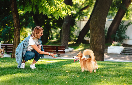 在狗公园里带着狗威尔士柯基犬彭布罗克的女人的画像训练在公园里散步的女图片