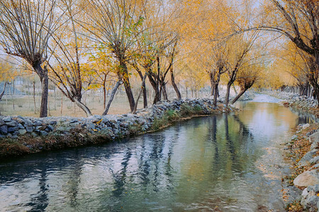 Hargisa河水中的树木反射图片