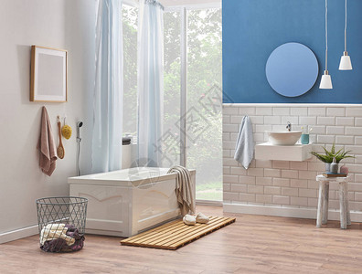 浴室的白色和蓝色墙壁图片