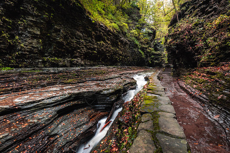 WatkinsGlenGorgeTrail瀑布峡谷图片