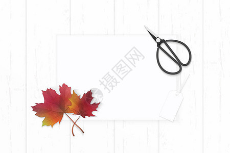 平面最优雅的白色成份纸秋红色的绿叶标签和木制背景图片