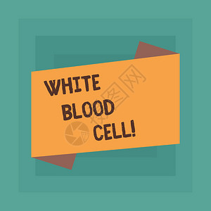 显示白血细胞的概念手写概念意义负责保护身体免受感染的白细胞空白彩色折叠横幅条平面图片