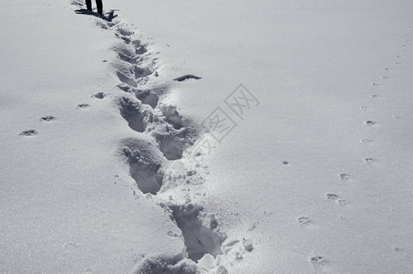 雪上脚印图片