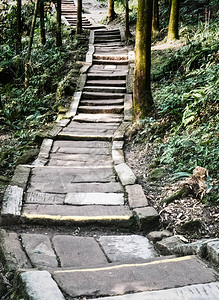 青城山是四川都江堰的一座山图片