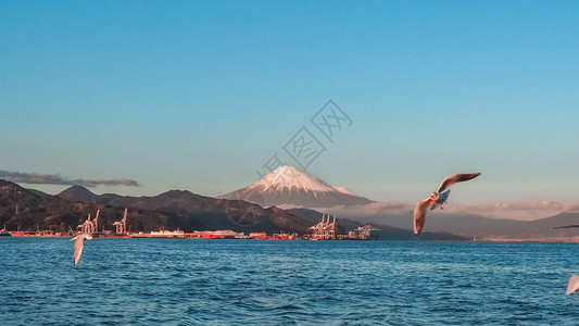 梦幻渡轮迷你游轮上的海鸥飞和富士山背景从日本静冈县滨名湖出发图片