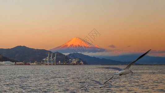 从日本静冈河湖海马纳科Hamanako图片