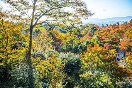 在秋天的秋天木林都变成了红色树叶在Kiyomizu图片