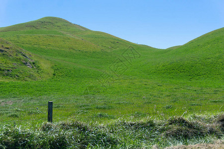 新西兰农村地区典型的图片