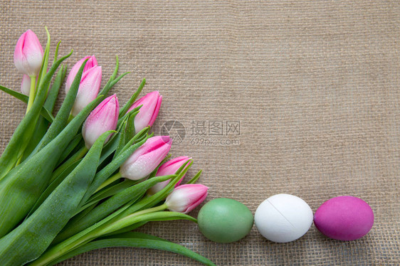 复活节鸡蛋和粉红色郁金香布料上的喜剧装图片