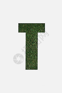 以白色隔离的绿草背景T字母背景图片