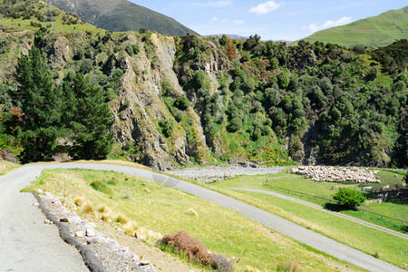 新西兰南岛山上在公路附近拦着图片