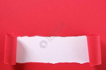 撕裂的红纸条卷曲边缘露出白色背景图片