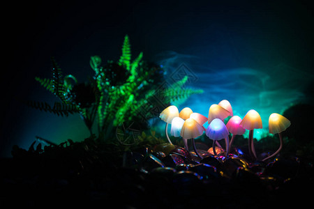 在神秘的黑暗森林特写中幻想发光的蘑菇神奇蘑菇或灵魂在化身森林中迷失的美丽微距镜头背景上有雾的仙女灯背景图片