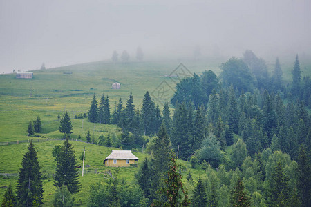 雾中的山景山里的房子荒野上的古老鬼屋荒地中间的木屋风景秀图片