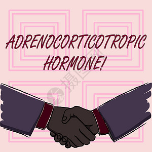 表示AdrenocortorotropicHormone的手写概念概念意思是荷尔蒙图片