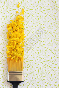 黄色花朵的画笔图片