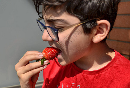 一个戴着眼镜的高加索孩子正在吃草莓的特写镜头图片