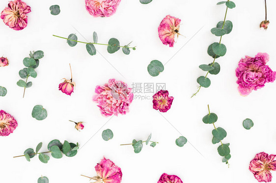 粉红色花朵和白背景的叶树枝的花香组成平坦的躺图片