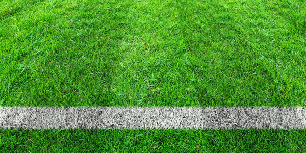 足球场绿色草地的足球线以绿草坪为运动背图片
