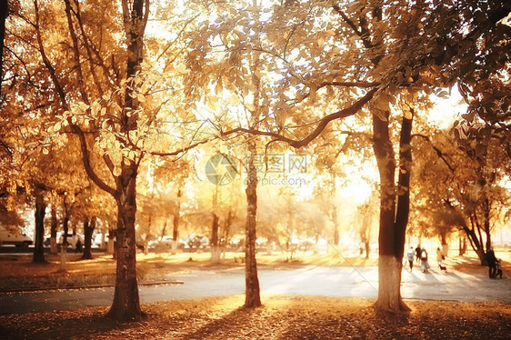 路径秋天公园秋天风景图片