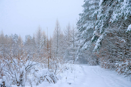 荒废的公路在寒冷的一天在雪地里图片