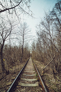 穿过森林的火车隧道图片