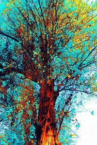 自然树木树枝和叶子各种颜色背景图片