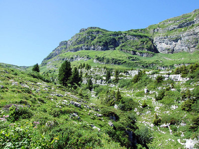 Alvierguruppe山脉的石块和岩石图片