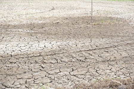 泰国农业用地干裂土壤图片