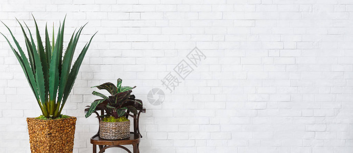 以白色砖墙背景的锅料构成的家庭工厂最小装饰概念图片