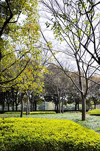 在多云天气的早晨秋天公园图片秋天公园公园里的九月风景阴图片