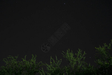 夜里天空和星在树上方的黑暗夜晚带图片